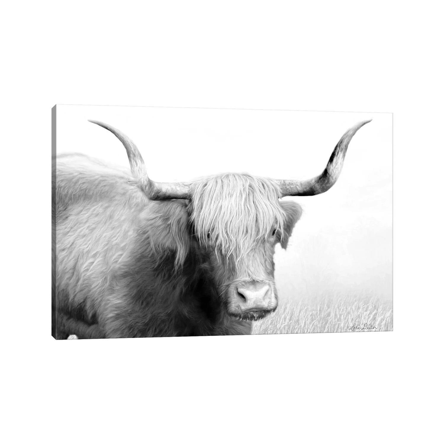 iCanvas "Highland Cow" by Lori Deiter Canvas Print - Bed Bath & Beyond